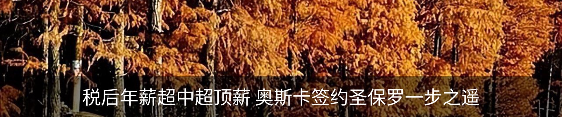 内页banner